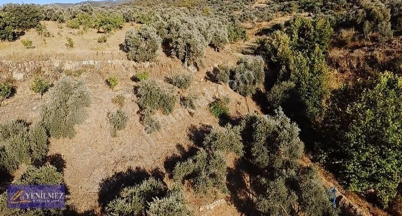Tire Çayırlı Mahallesi Satılık Bahçe - Görsel 12