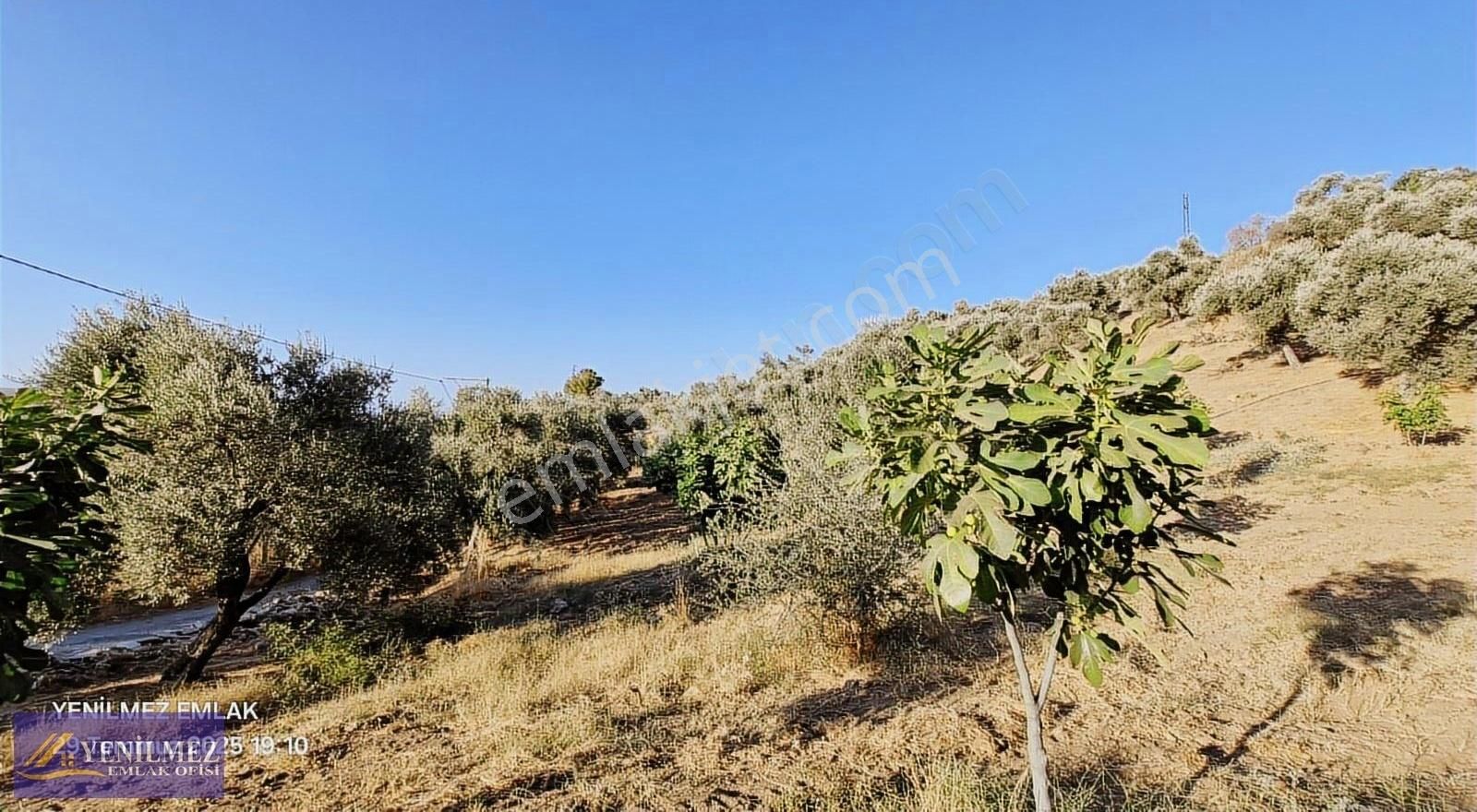 Tire Çayırlı Mahallesi Satılık Bahçe - Görsel 26