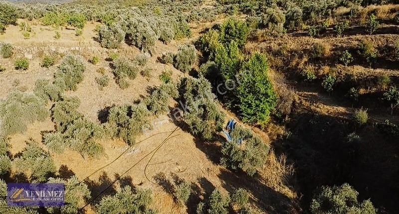 Tire Çayırlı Mahallesi Satılık Bahçe - Görsel 21