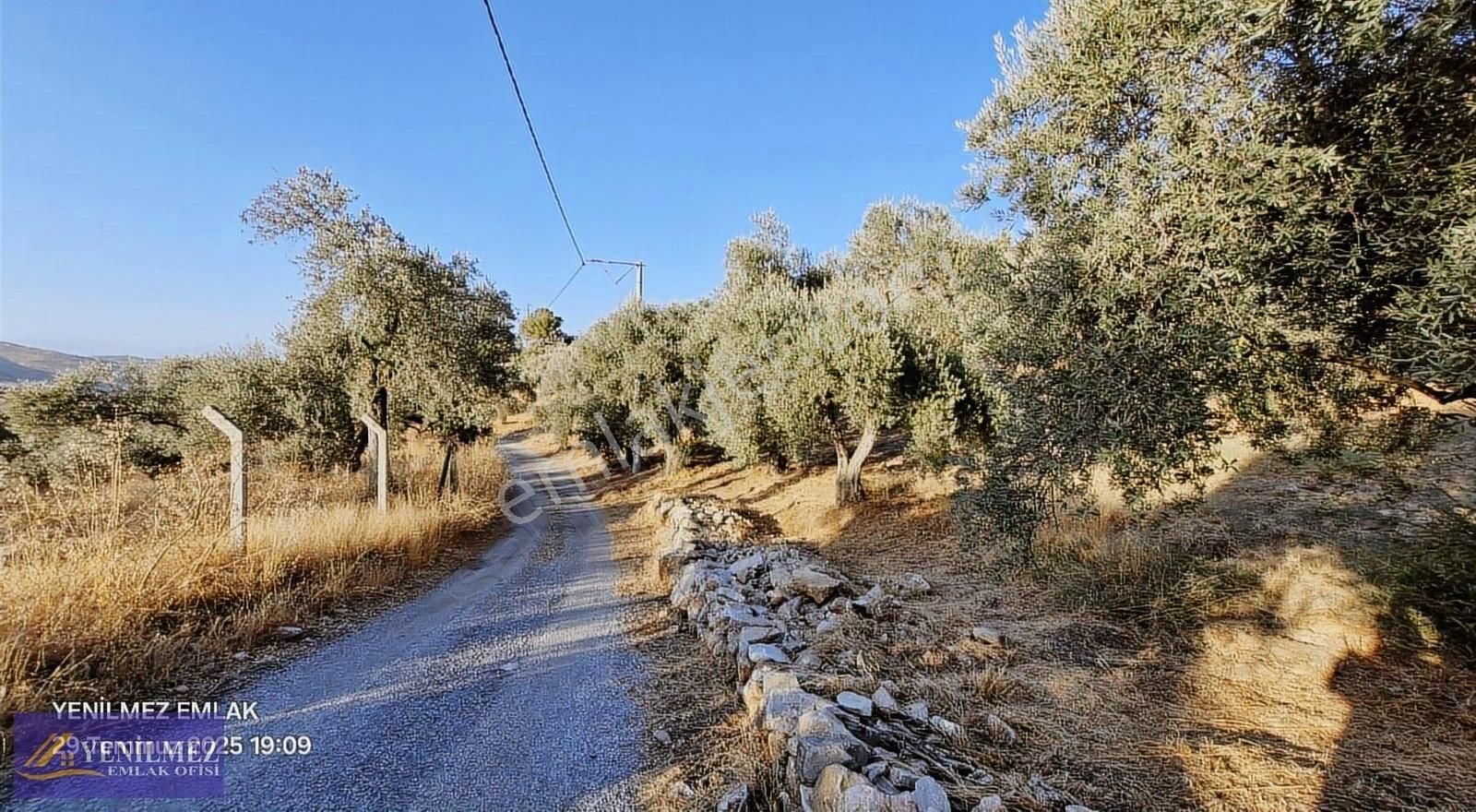 Tire Çayırlı Mahallesi Satılık Bahçe - Görsel 29