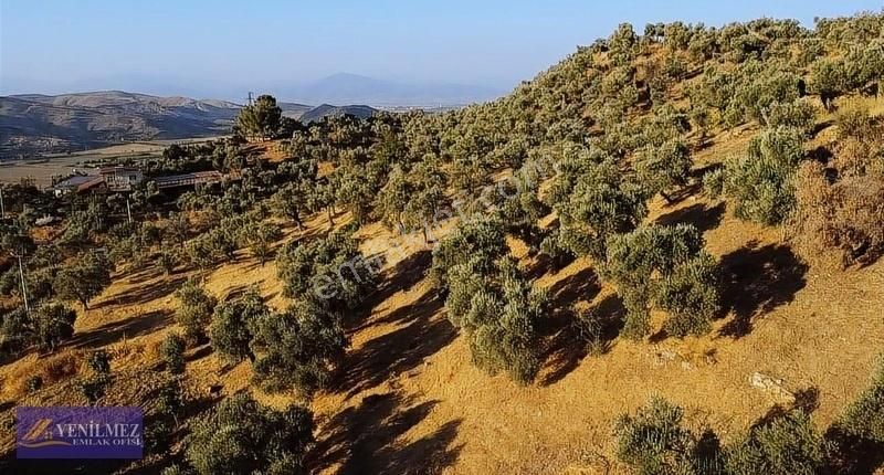 Tire Çayırlı Mahallesi Satılık Bahçe - Görsel 22