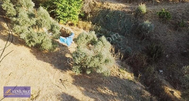 Tire Çayırlı Mahallesi Satılık Bahçe - Görsel 16