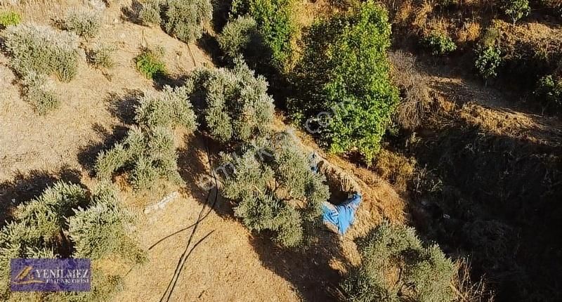 Tire Çayırlı Mahallesi Satılık Bahçe - Görsel 17