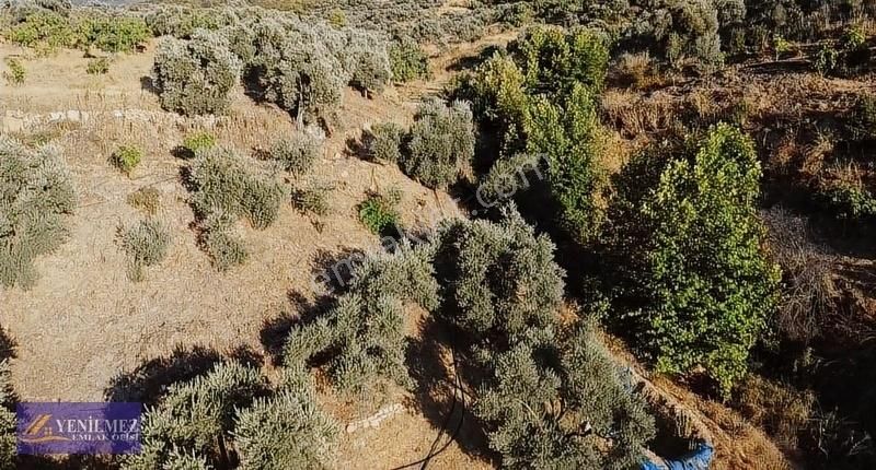 Tire Çayırlı Mahallesi Satılık Bahçe - Görsel 15