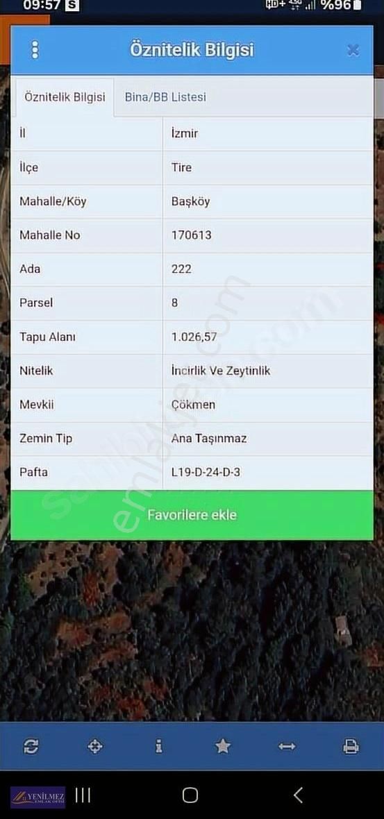 Tire Başköy Mahallesi Satılık İncir Ve Zeytin Bahçesi - Görsel 3