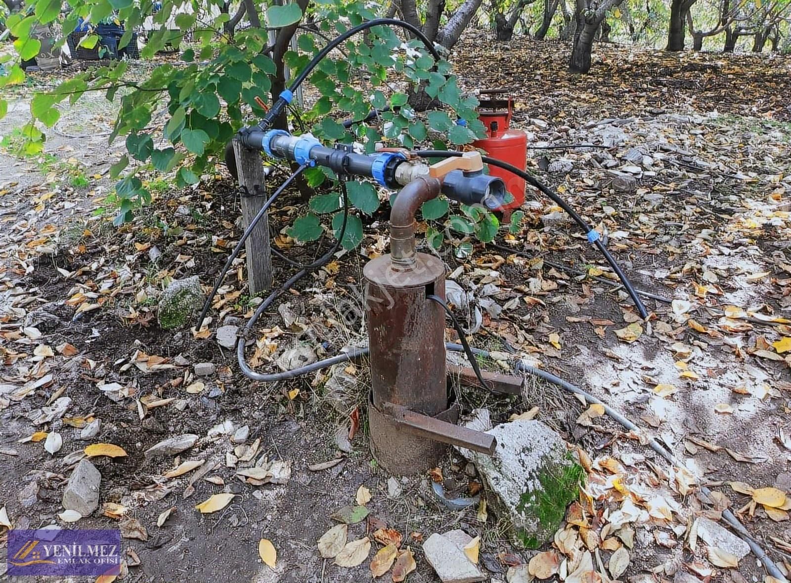 Bayındır Camlıbel 5391 M² Kirazlık - Görsel 8