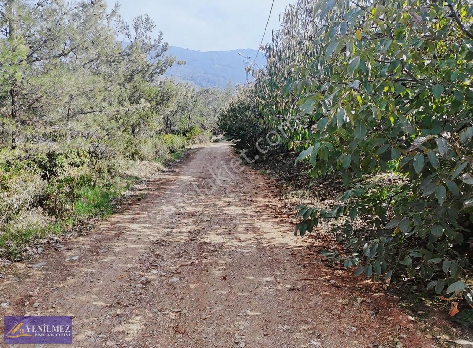 Bayındır Camlıbel 5391 M² Kirazlık - Görsel 2