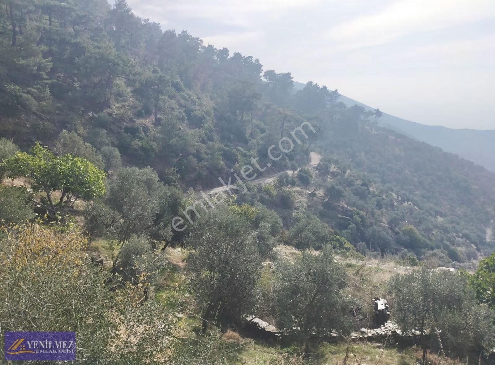 Bayındır Kızıcaağaç (31 Mevkisinde ) Arsa - Görsel 11