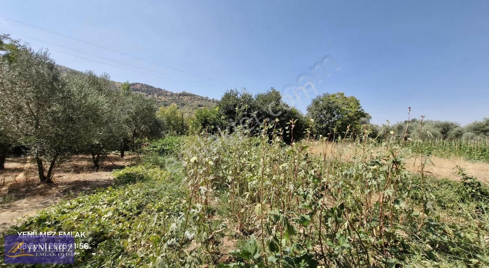 Yenilmez Emlaktan Satılık Asfalt Yol Cepheli Bahçe - Görsel 10