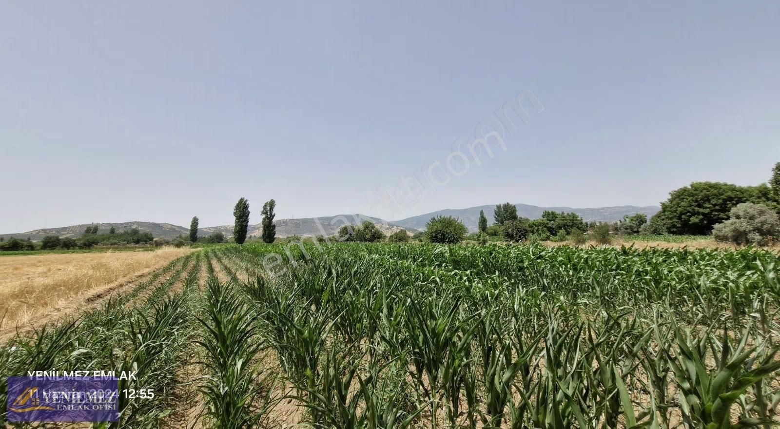 Yenilmez Emlaktan Satılık Verimli Tarla - Görsel 14
