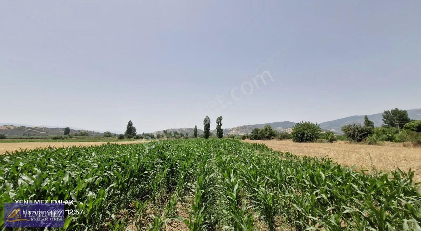 Yenilmez Emlaktan Satılık Verimli Tarla
