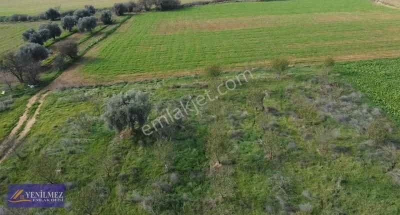 Yenilmez Emlaktan Asfalt Yola Cepheli Satılık Tarla - Görsel 22