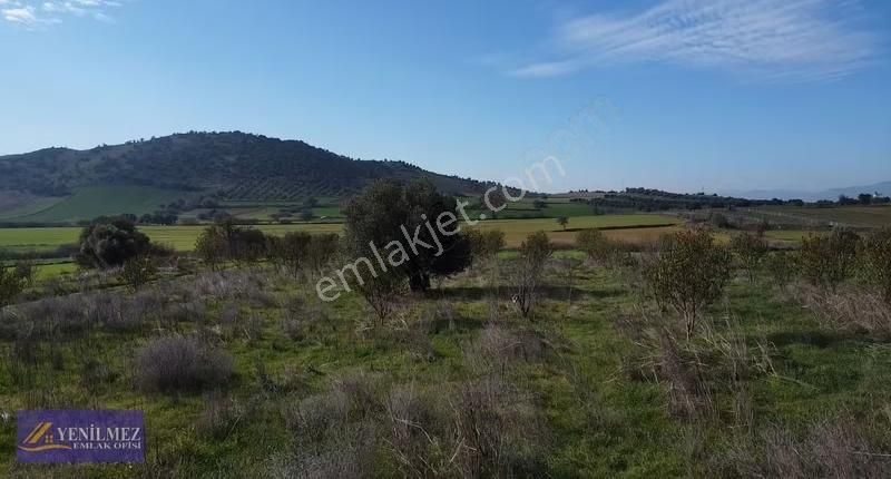 Yenilmez Emlaktan Asfalt Yola Cepheli Satılık Tarla - Görsel 14