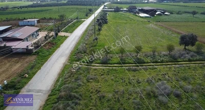 Yenilmez Emlaktan Asfalt Yola Cepheli Satılık Tarla - Görsel 6