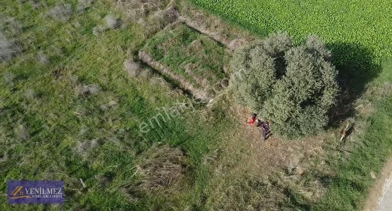 Yenilmez Emlaktan Asfalt Yola Cepheli Satılık Tarla - Görsel 16