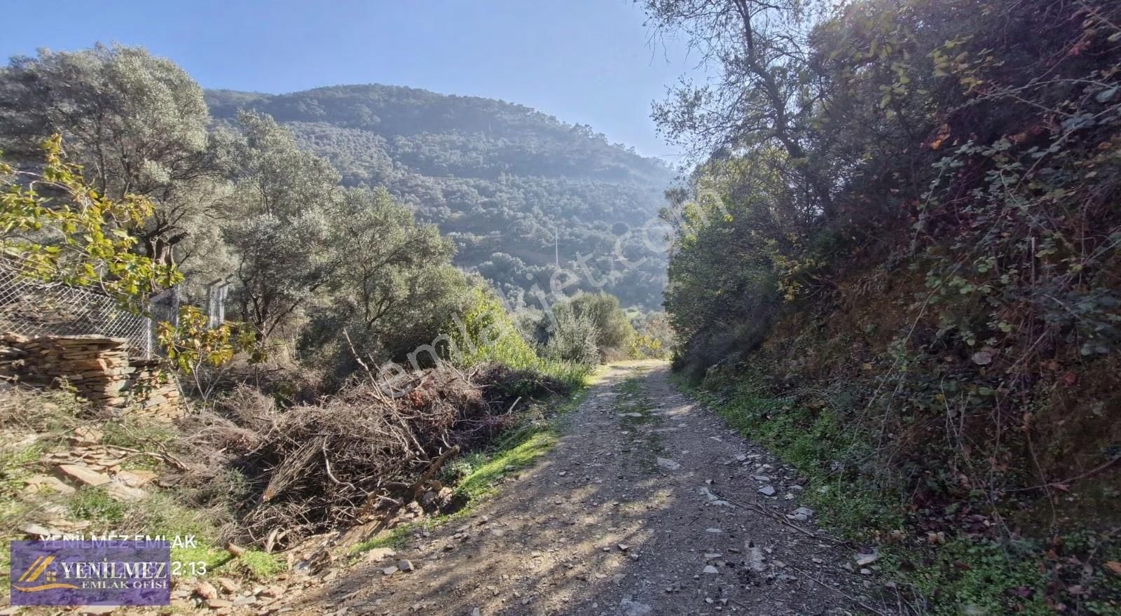 Yenilmez Emlaktan Resmi Yolu Olan Satılık Zeytin Bahçesi - Görsel 3