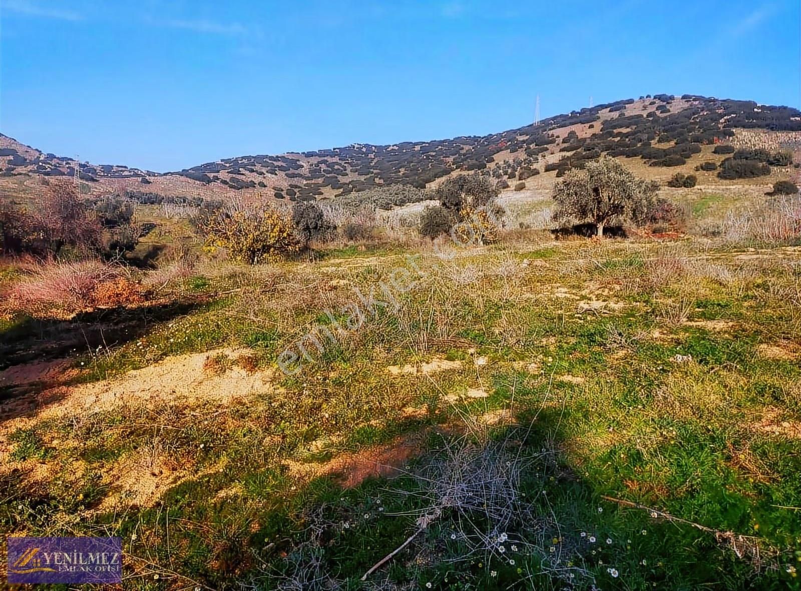 Yatırımlık 8.050 M² Bağ Ve Tarla - Görsel 3