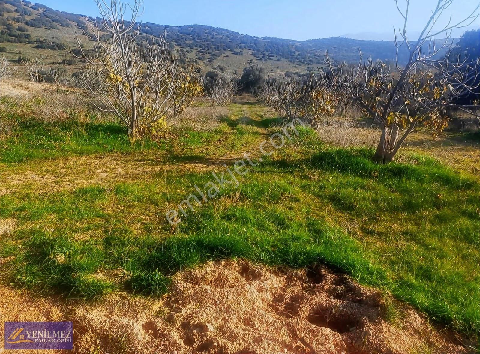 Yatırımlık 8.050 M² Bağ Ve Tarla - Görsel 9