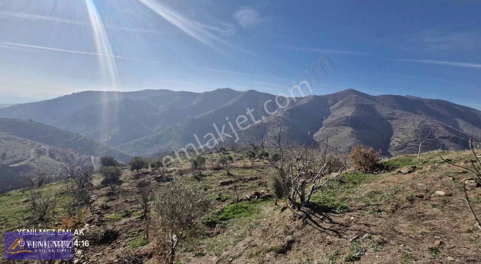 Yenilmez Emlaktan Satılık İncir Ve Ceviz Bahçesi - Görsel 12