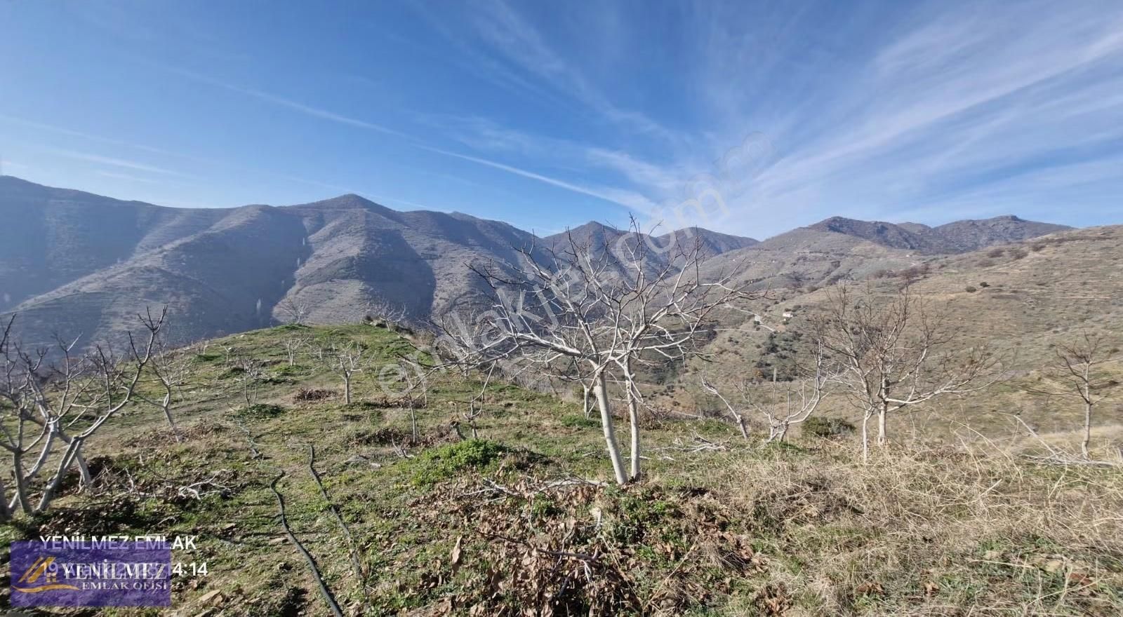 Yenilmez Emlaktan Satılık İncir Ve Ceviz Bahçesi - Görsel 6