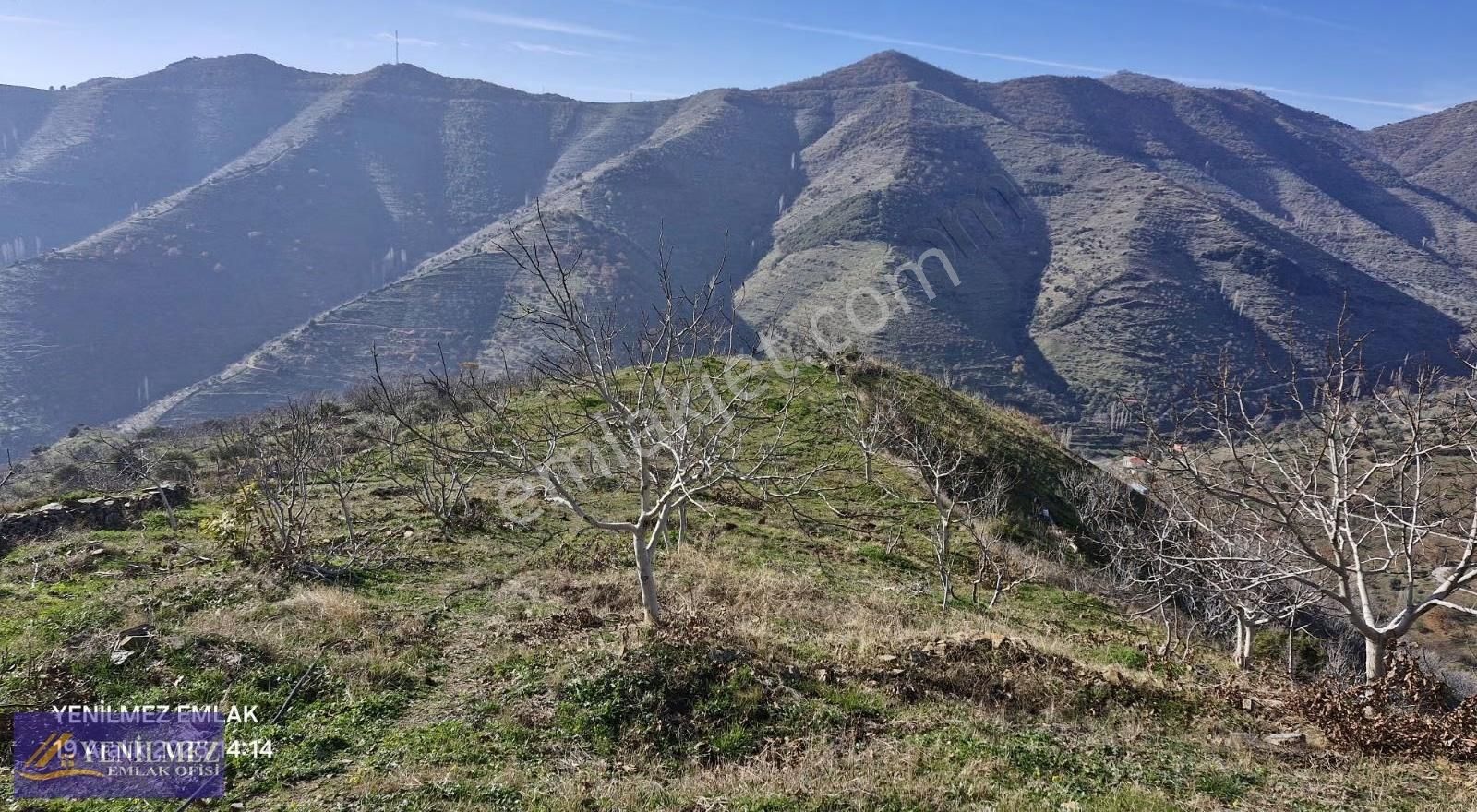 Yenilmez Emlaktan Satılık İncir Ve Ceviz Bahçesi - Görsel 2