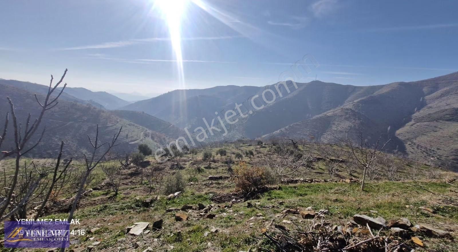 Yenilmez Emlaktan Satılık İncir Ve Ceviz Bahçesi - Görsel 3