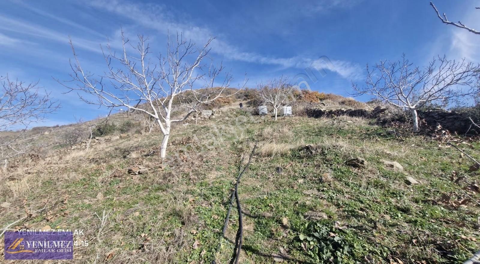 Yenilmez Emlaktan Satılık İncir Ve Ceviz Bahçesi - Görsel 15