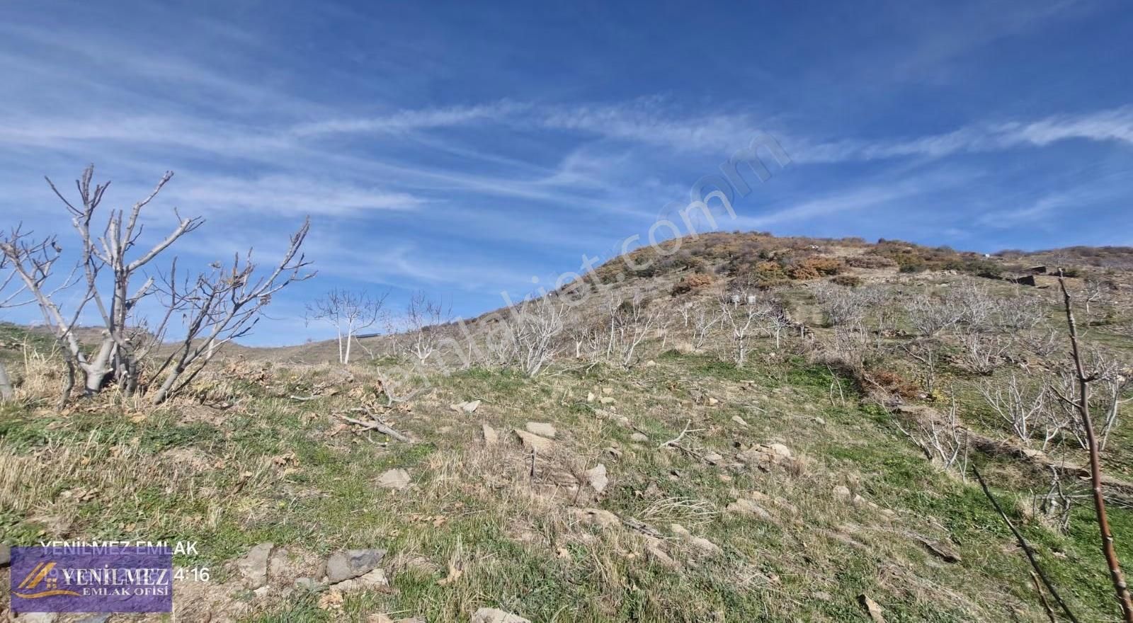 Yenilmez Emlaktan Satılık İncir Ve Ceviz Bahçesi - Görsel 17