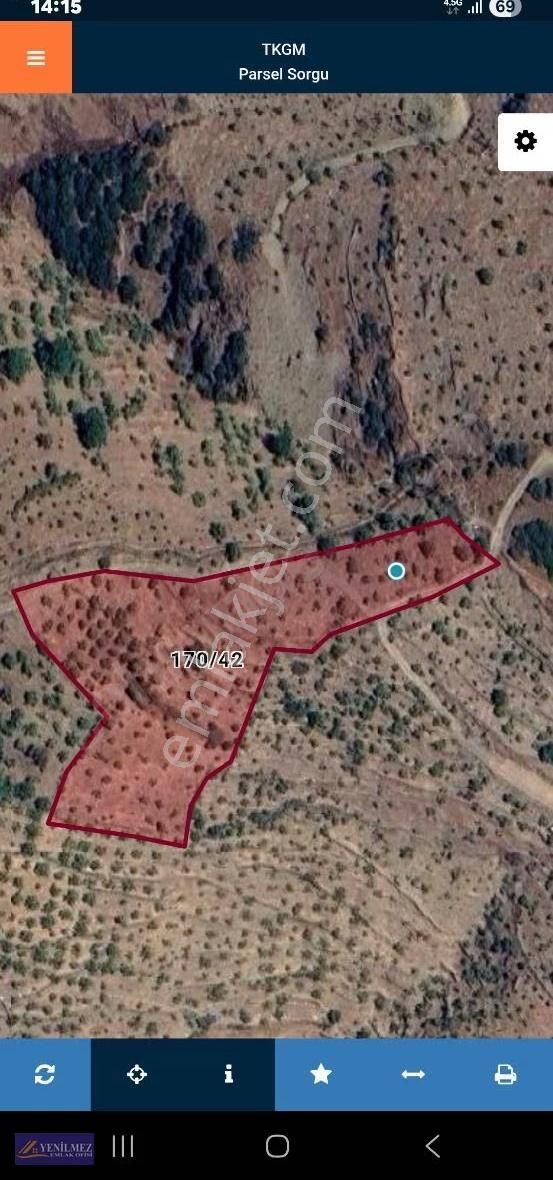 Yenilmez Emlaktan Satılık İncir Ve Ceviz Bahçesi - Görsel 11