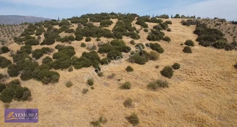 Yenilmez Emlaktan Satılık Güney Cepheli Arazi - Görsel 17