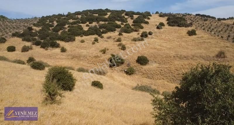 Yenilmez Emlaktan Satılık Güney Cepheli Arazi - Görsel 7