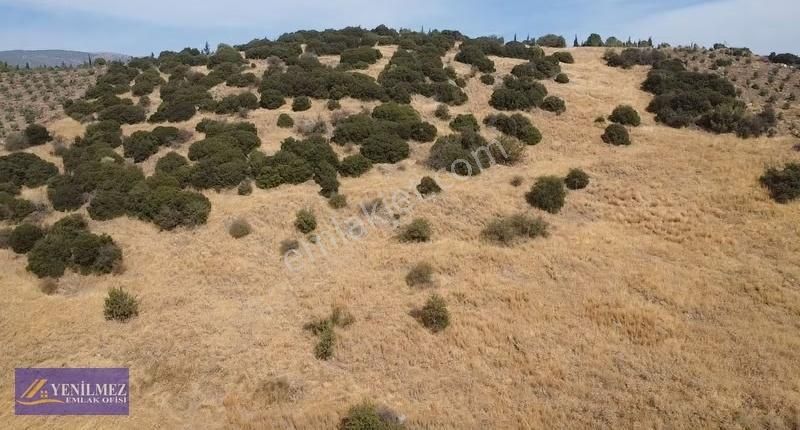 Yenilmez Emlaktan Satılık Güney Cepheli Arazi - Görsel 6