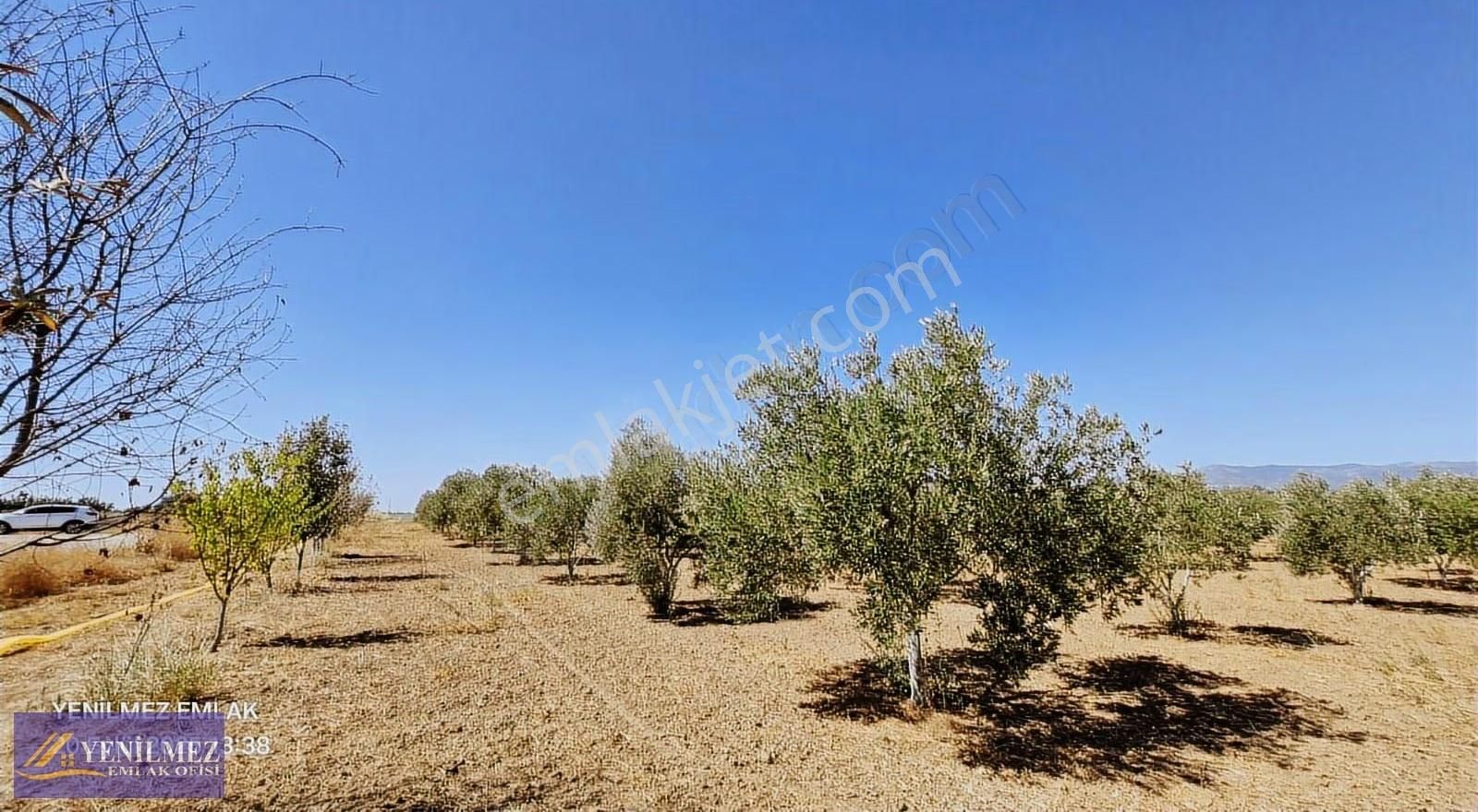 Yenilmez Emlaktan Satılık Zeytin Bahçesi - Görsel 15