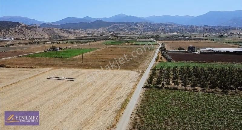 Yenilmez Emlaktan Satılık Zeytin Bahçesi - Görsel 2