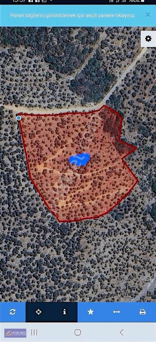 Camlıbel 13.001 M² Zeytinlik