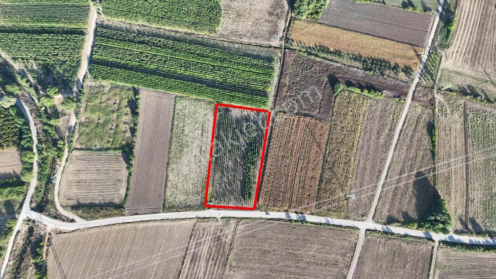 Bera Gayrimenkul'den Yeniceköyde Satılık Yatırımlık Tarla - Görsel 3