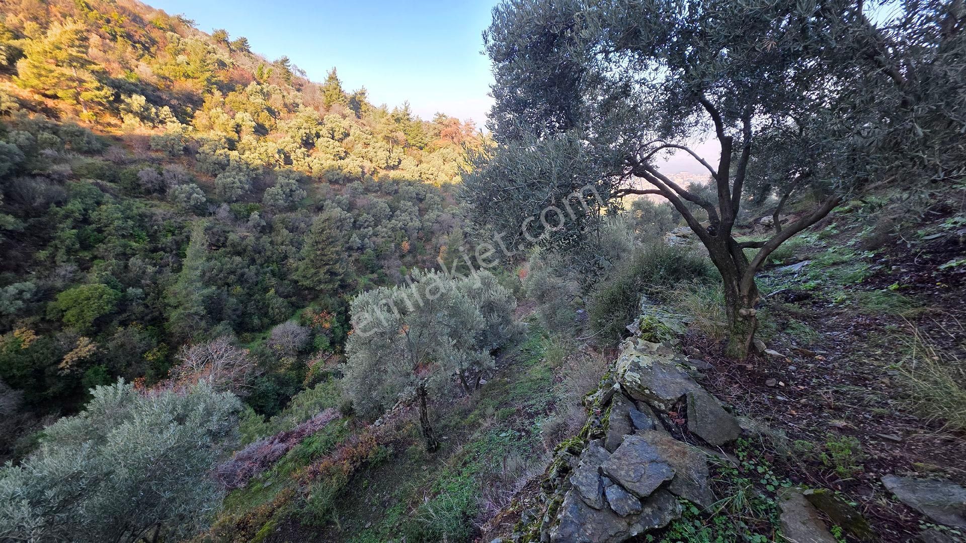 Ali Akdoğan Emlak Ofisinden - Görsel 25