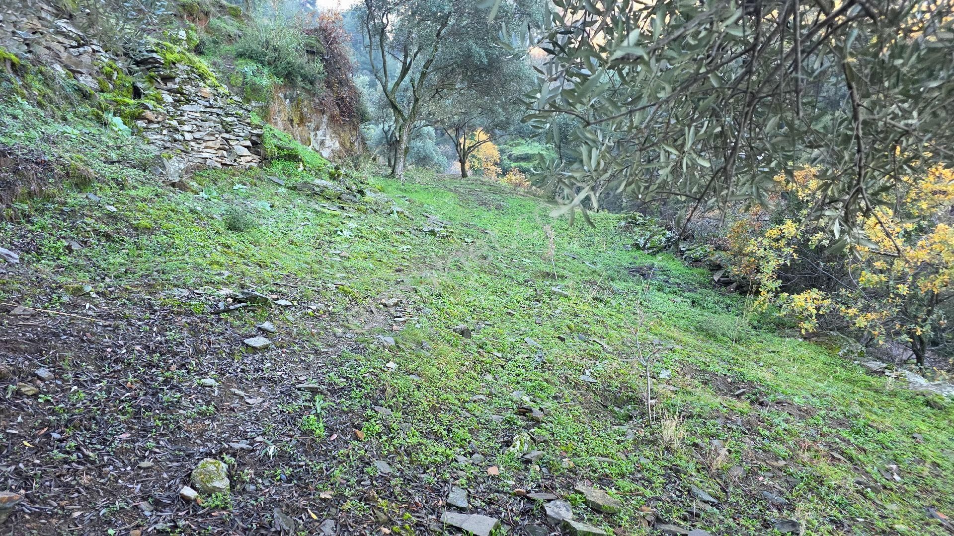 Ali Akdoğan Emlak Ofisinden - Görsel 4