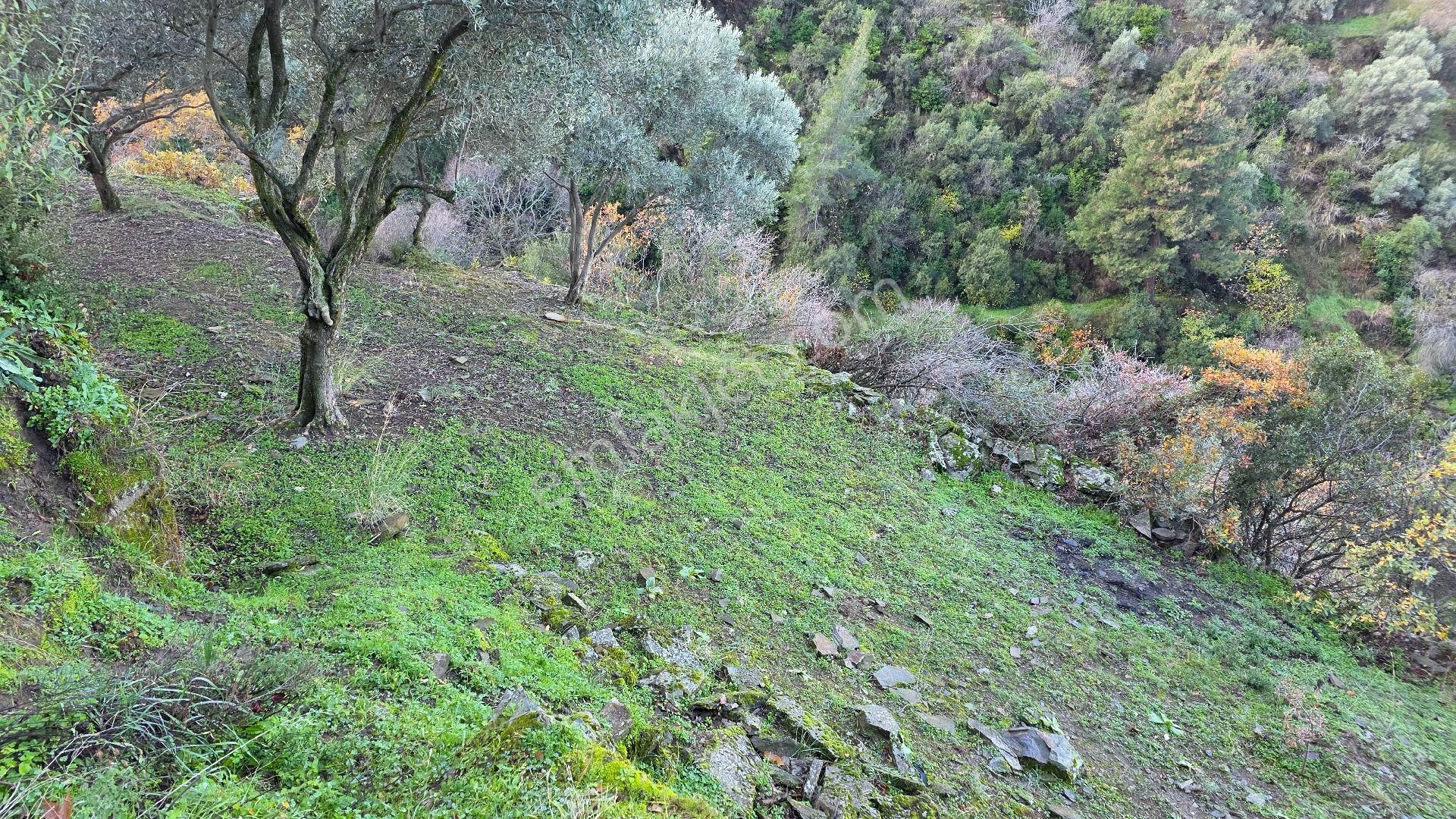 Ali Akdoğan Emlak Ofisinden