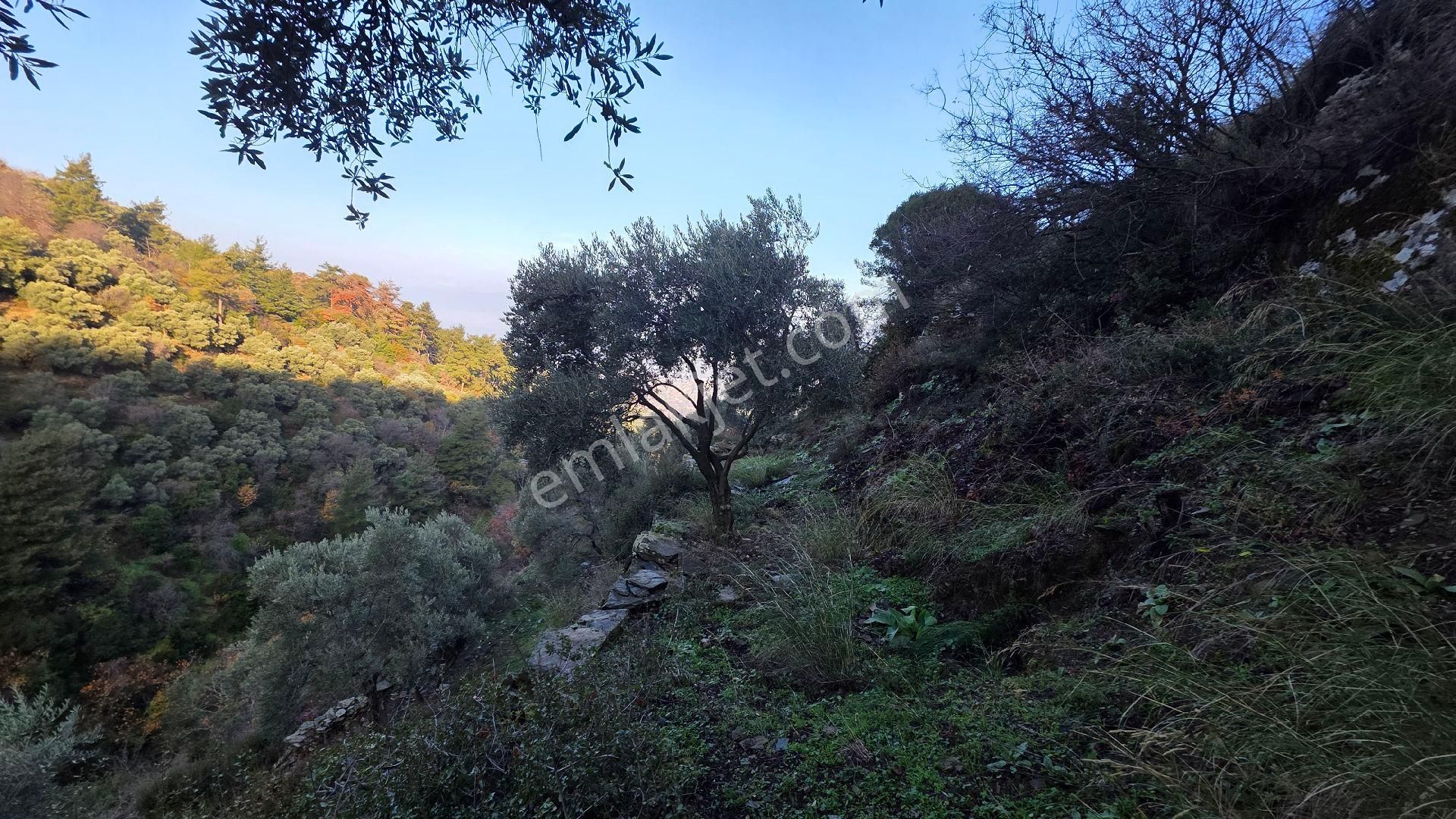 Ali Akdoğan Emlak Ofisinden - Görsel 20