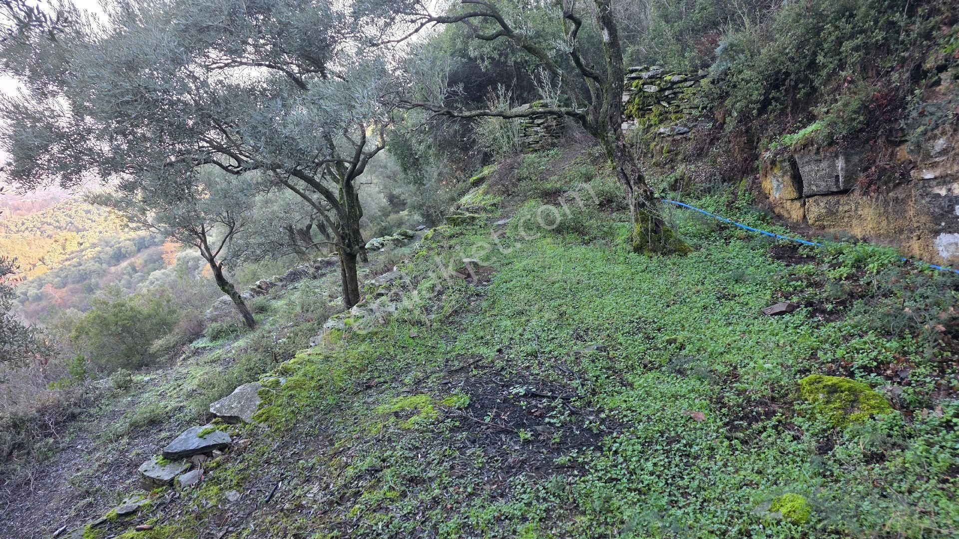 Ali Akdoğan Emlak Ofisinden - Görsel 12
