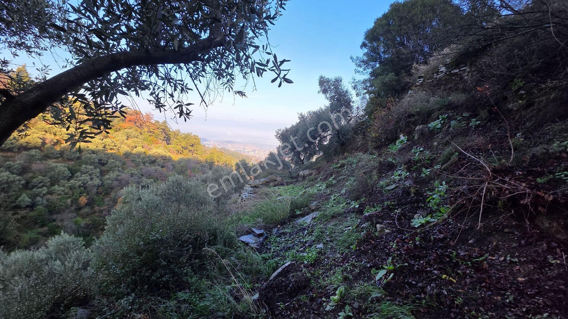 Ali Akdoğan Emlak Ofisinden - Görsel 24