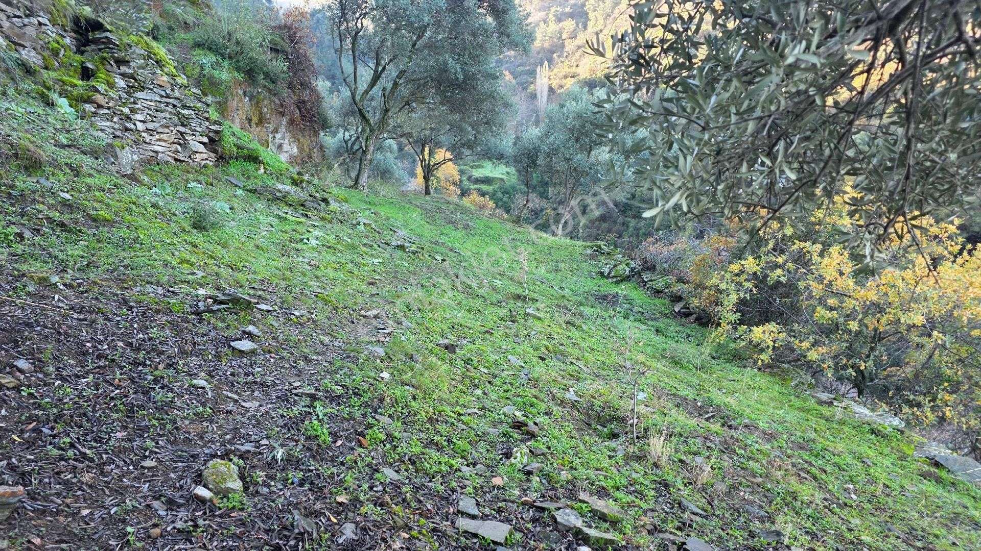 Ali Akdoğan Emlak Ofisinden - Görsel 3