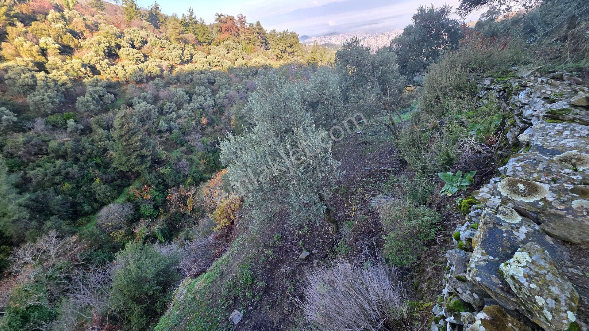 Ali Akdoğan Emlak Ofisinden - Görsel 18