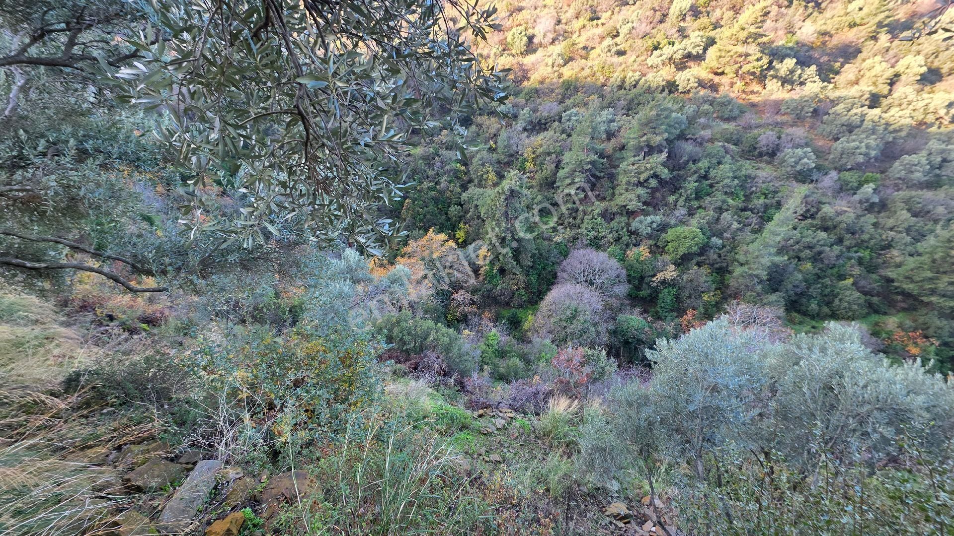 Ali Akdoğan Emlak Ofisinden - Görsel 22