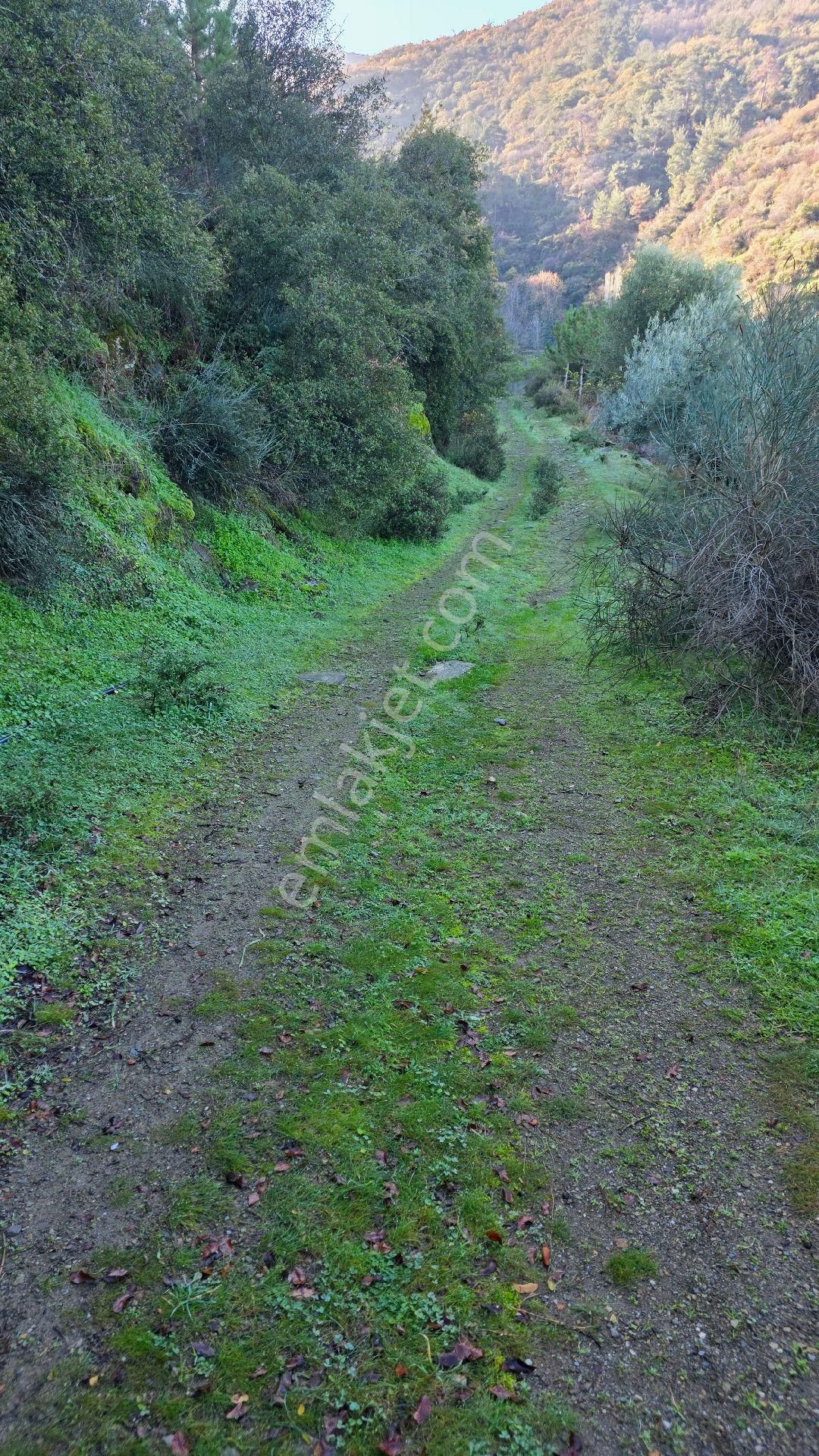 Ali Akdoğan Emlak Ofisinden - Görsel 6