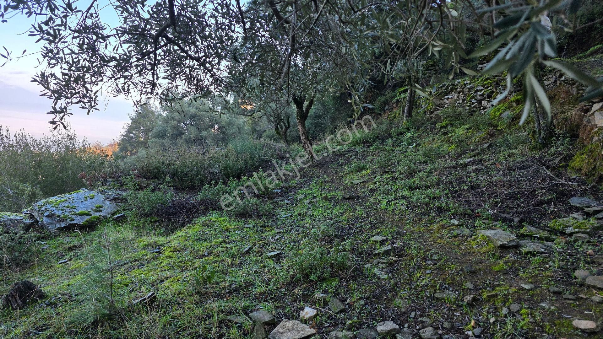 Ali Akdoğan Emlak Ofisinden - Görsel 11