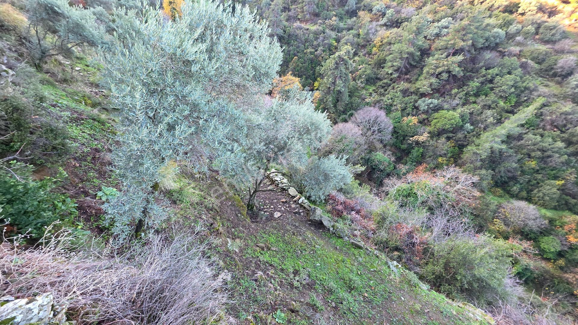 Ali Akdoğan Emlak Ofisinden - Görsel 16