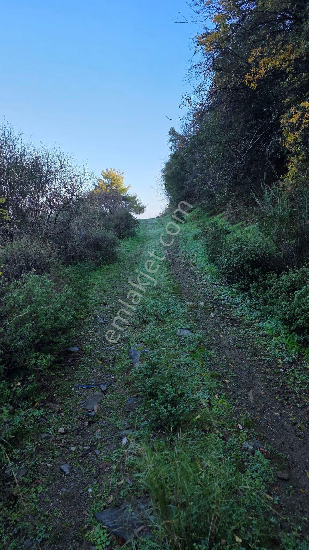 Ali Akdoğan Emlak Ofisinden - Görsel 10