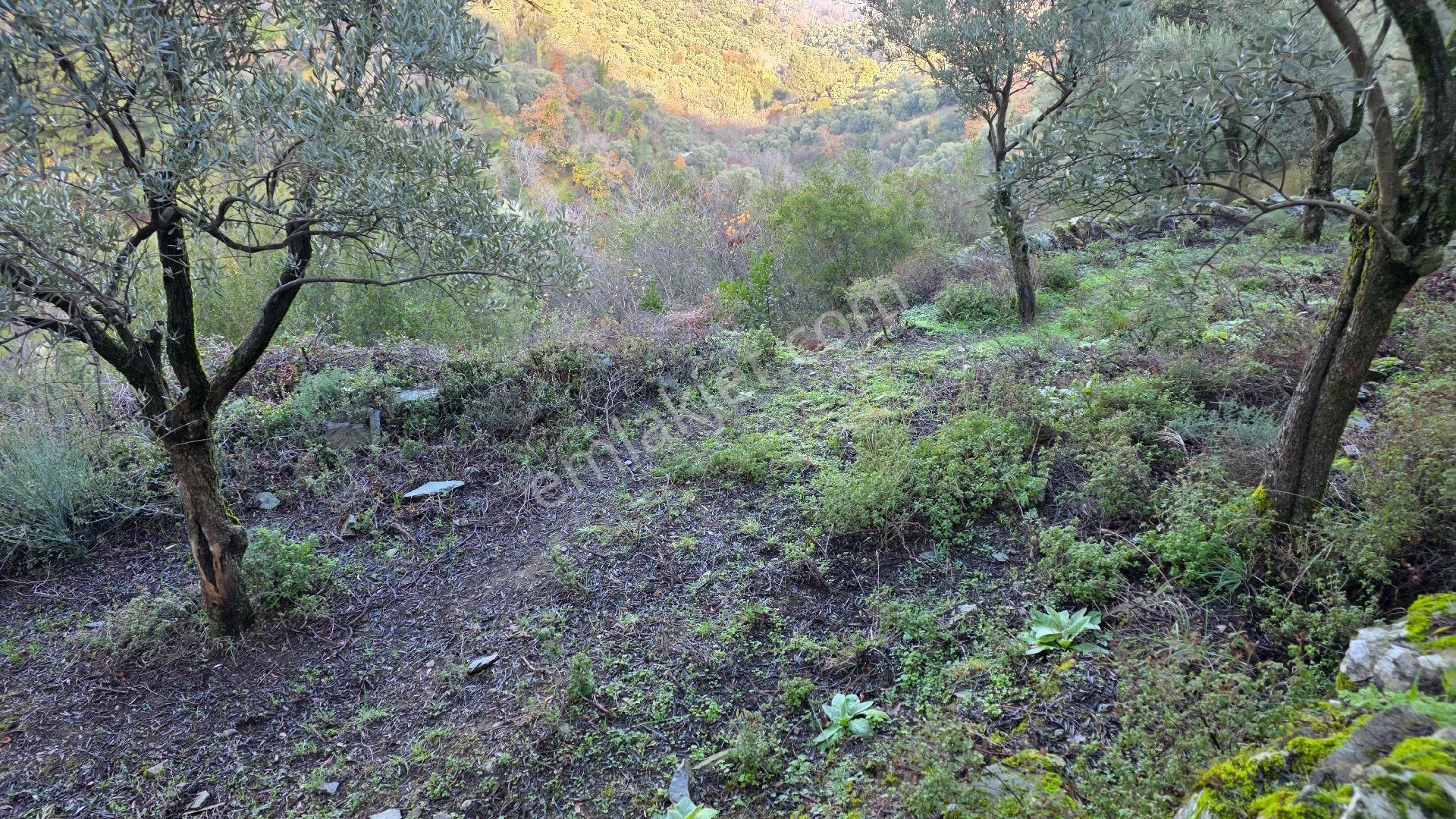 Ali Akdoğan Emlak Ofisinden - Görsel 13